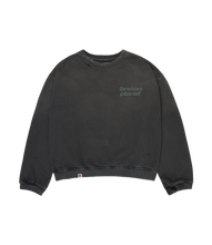 Load image into Gallery viewer, Star Logo Sunfaded Crewneck